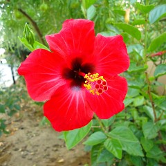 2015-09-05 07-06-40 Hotel